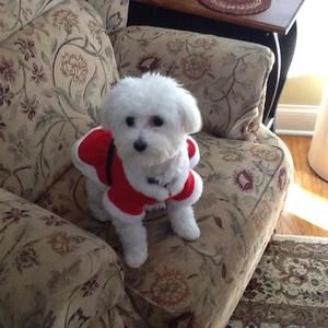 Meet your Posher, Nancy